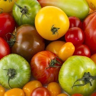 Les tomates chez Biocoop Les tomates chez Biocoop