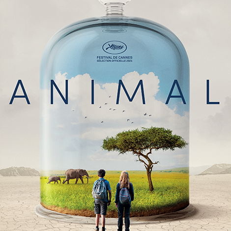 Animal, le docu qui vous gagne