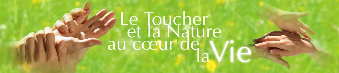 REnÊTRE à l’ESSENTIEL: formation certifiante au massage de relaxation REnÊTRE à l’ESSENTIEL: formation certifiante au massage de relaxation